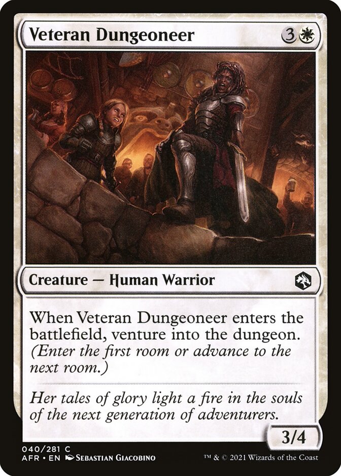 Veteran Dungeoneer afr 40