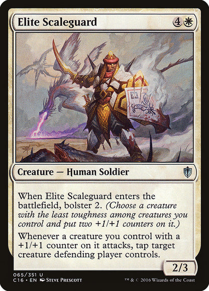 Elite Scaleguard c16 65
