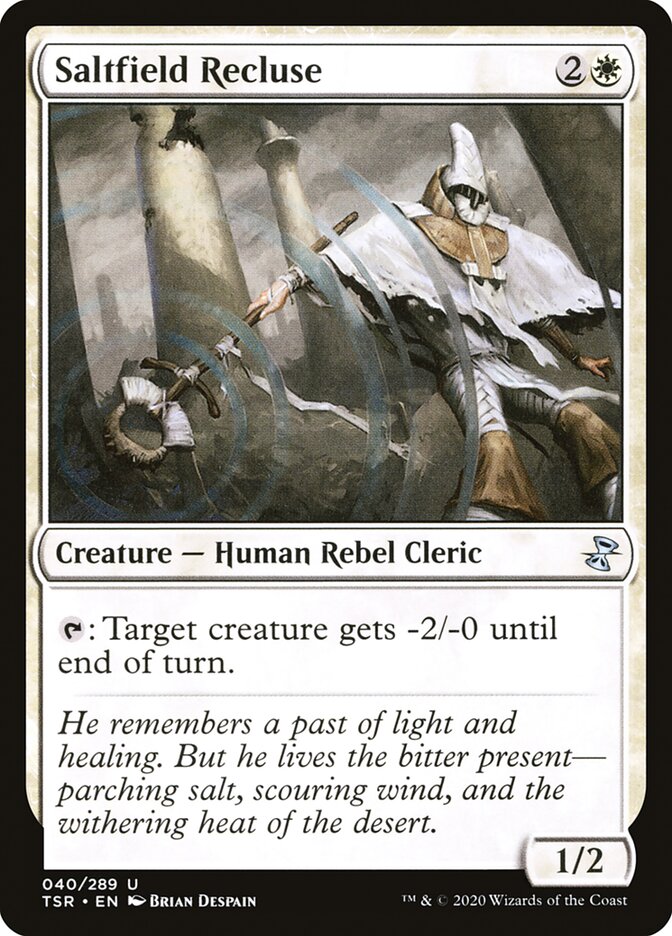 Saltfield Recluse tsr 40