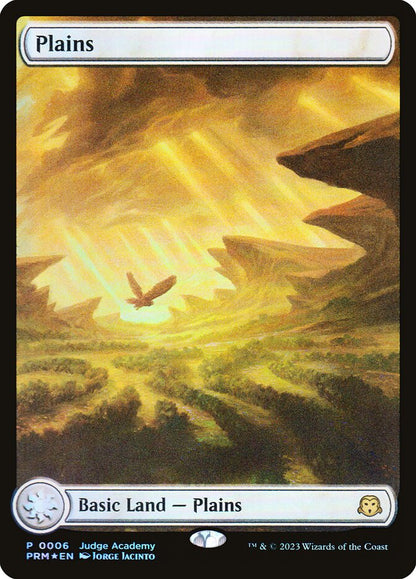 Plains p23 6