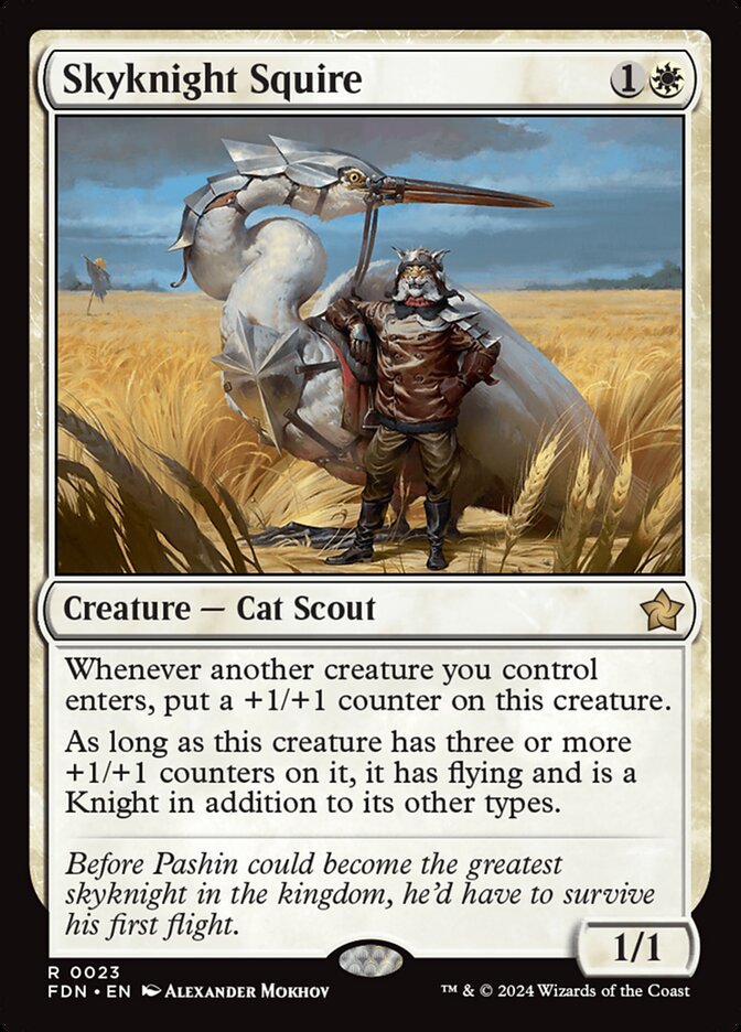 Skyknight Squire fdn 23