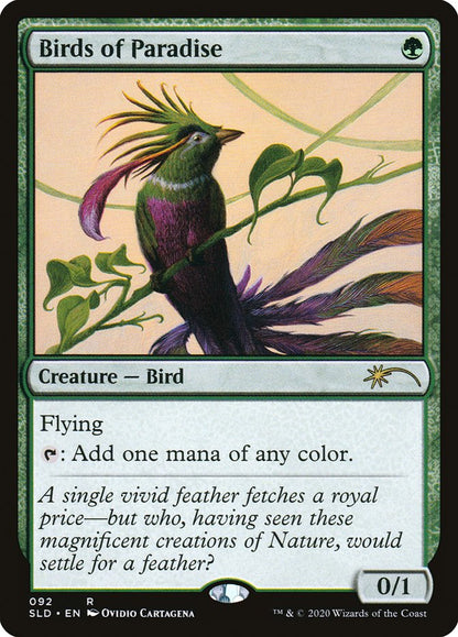 Birds of Paradise sld 92
